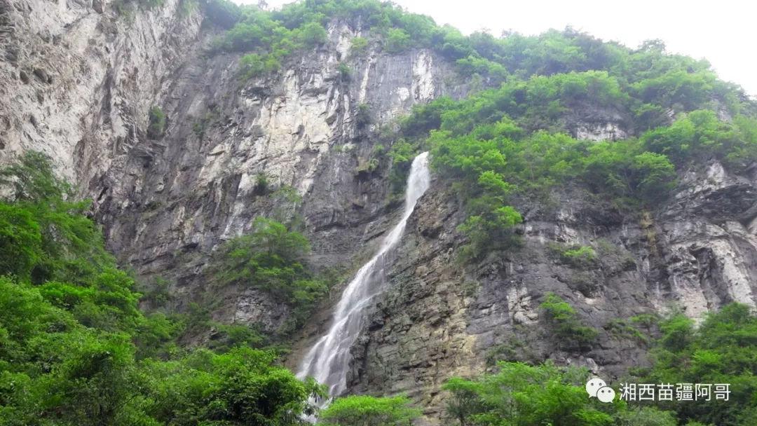苹果菠萝笔3